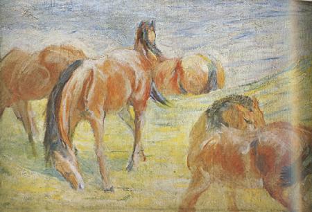 Franz Marc Graing Horses i (mk34) oil painting picture